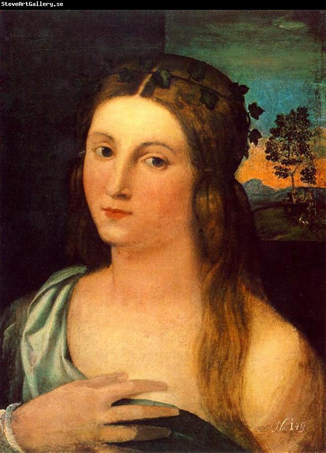 Palma Vecchio Portrait of a Young Woman ag